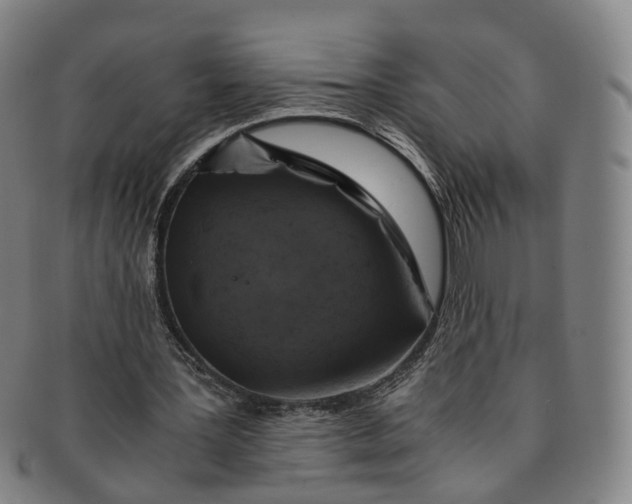 X0000091010387200708241517