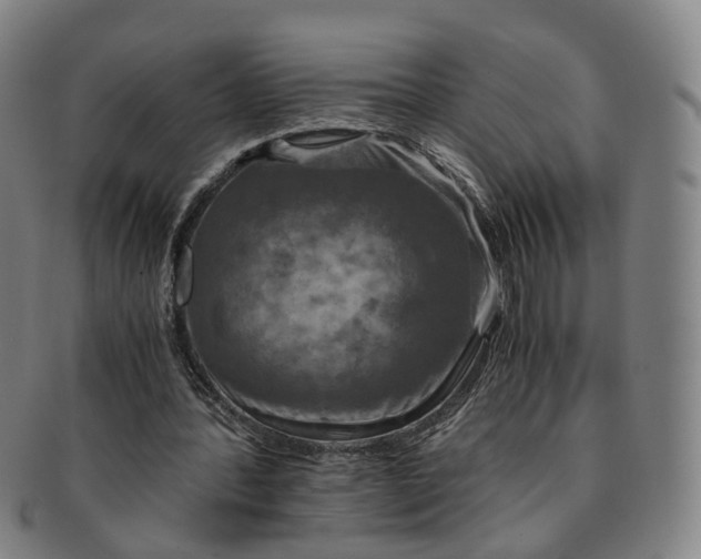 X0000091010388200708241517