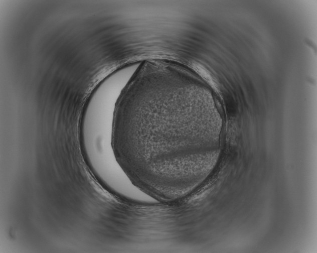 X0000091010389200708241517