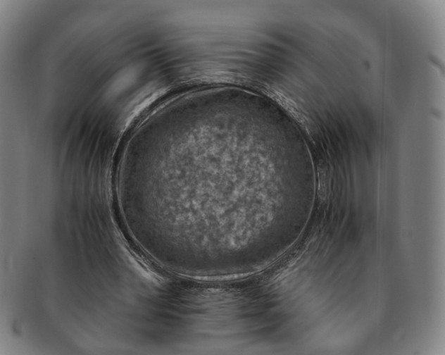 X0000091010390200708241517