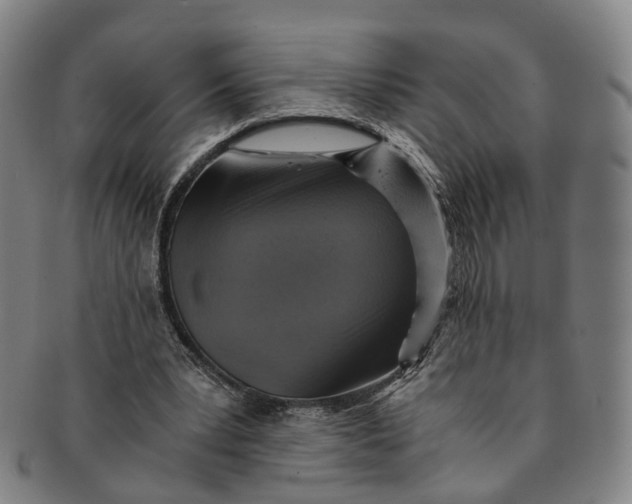 X0000091010391200708241517