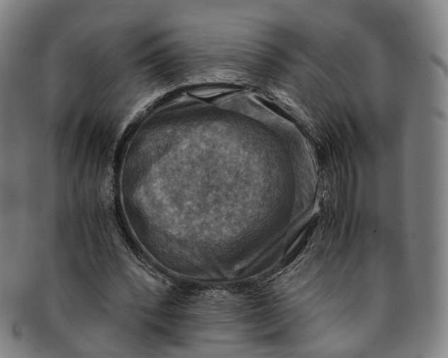 X0000091010392200708241517