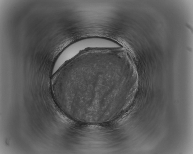 X0000091010393200708241517