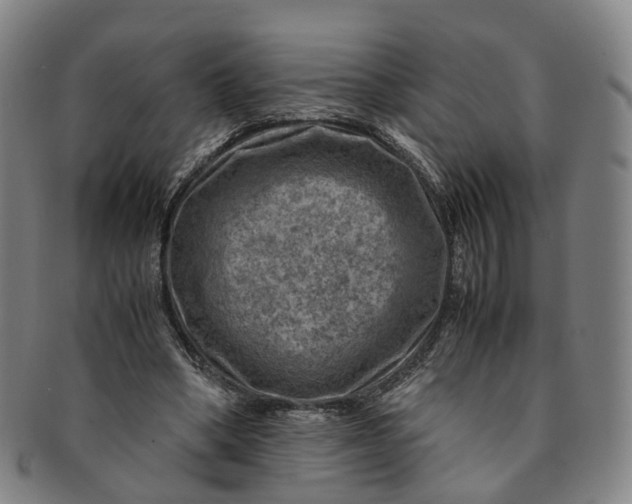 X0000091010394200708241517