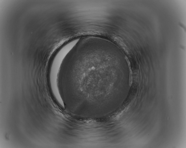 X0000091010395200708241517