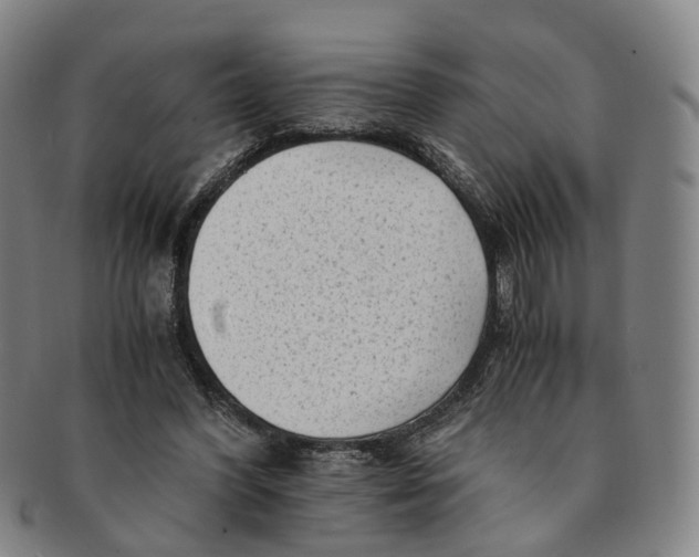 X0000091010396200708241517