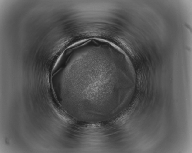 X0000091010398200708241517