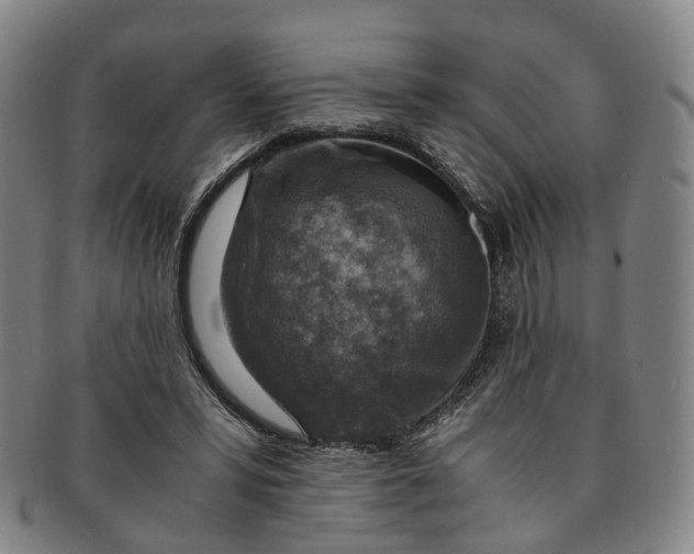 X0000091010399200708241517