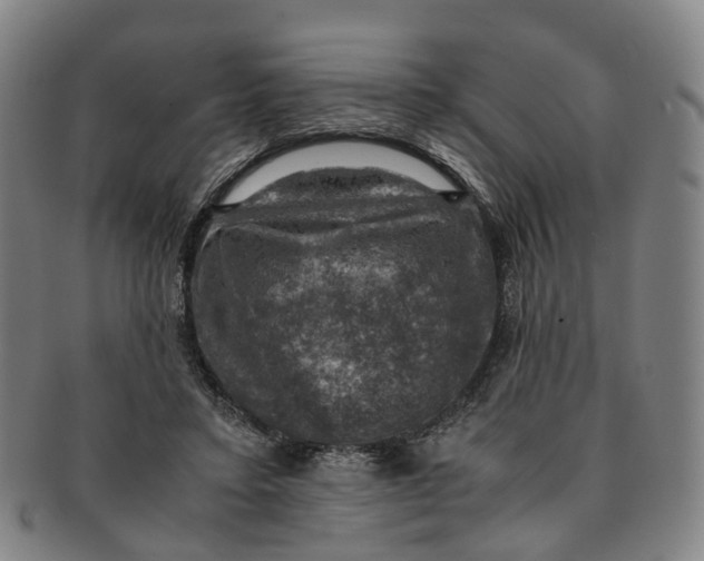 X0000091010403200708241517