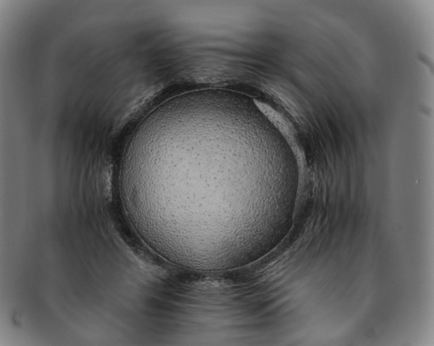 X0000091010404200708241517