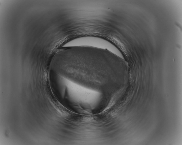 X0000091010405200708241517