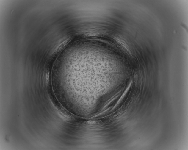 X0000091010406200708241517