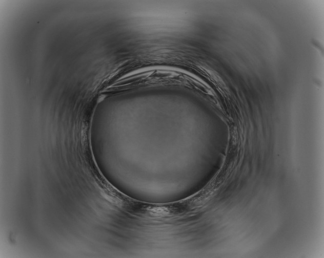 X0000091010409200708241517