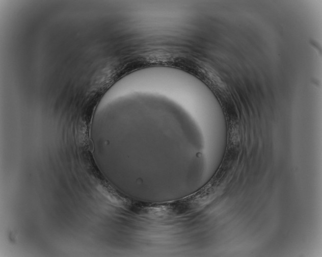 X0000091010411200708241517