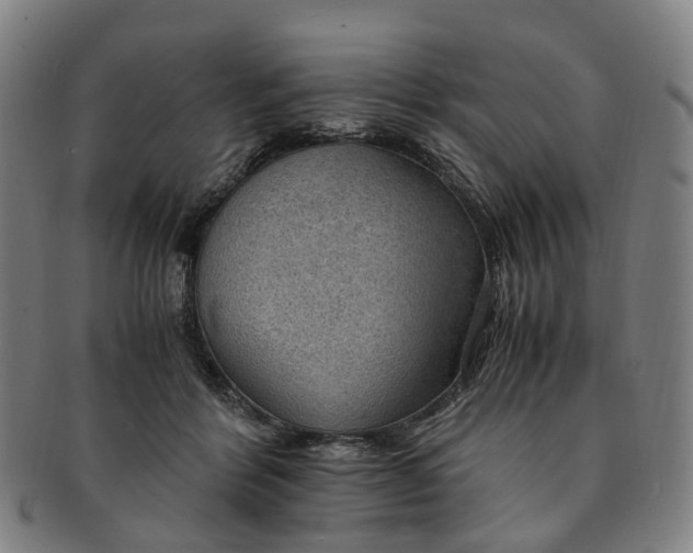 X0000091010412200708241517