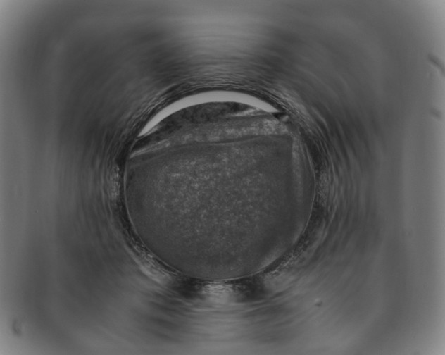 X0000091010413200708241517