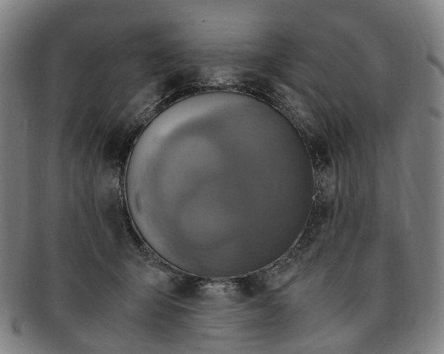 X0000091010415200708241517