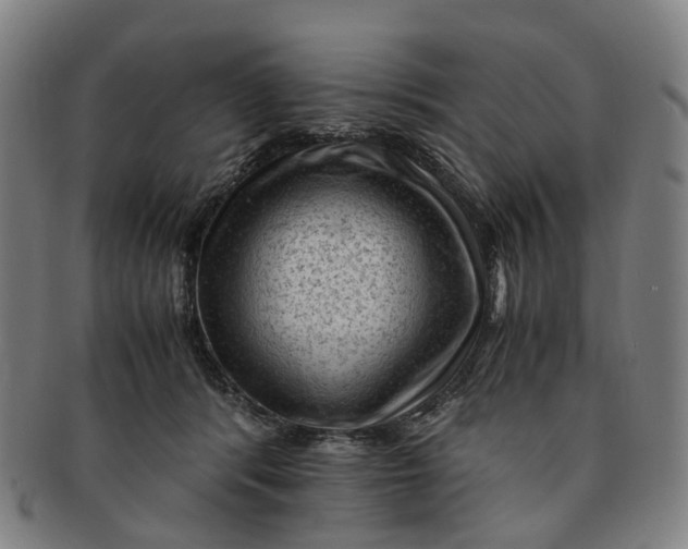 X0000091010416200708241517