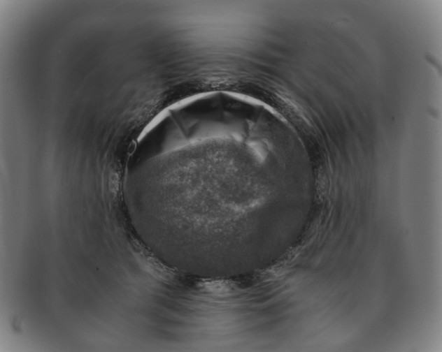 X0000091010417200708241517