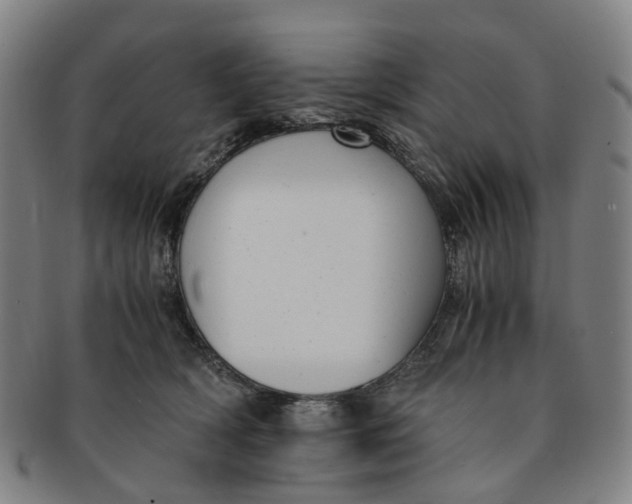 X0000091010418200708241517