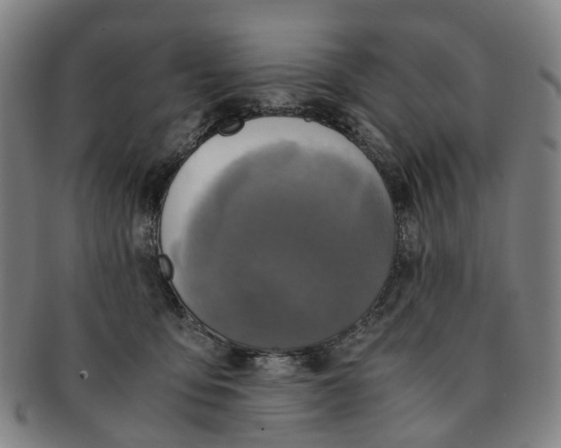 X0000091010419200708241517