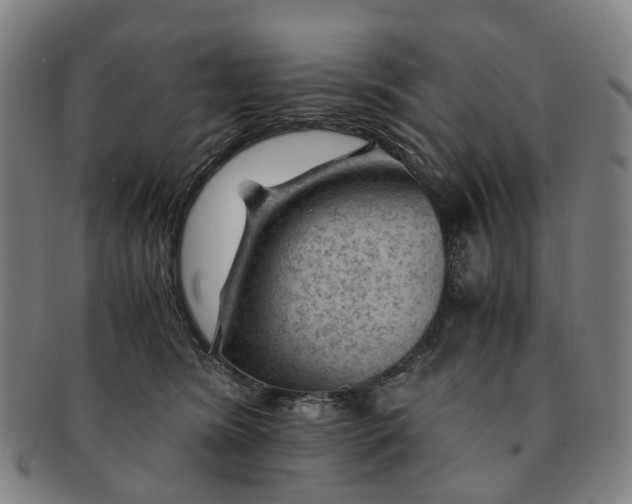 X0000091010420200708241517