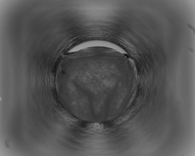 X0000091010421200708241517