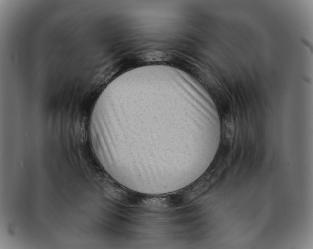 X0000091010422200708241517