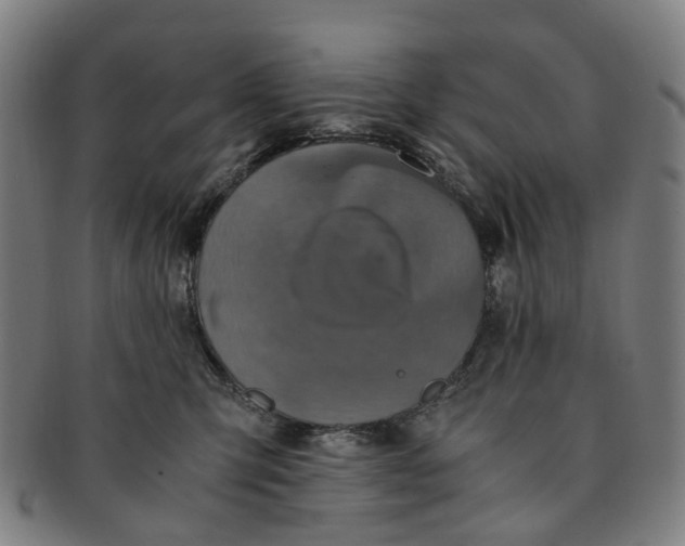 X0000091010423200708241517