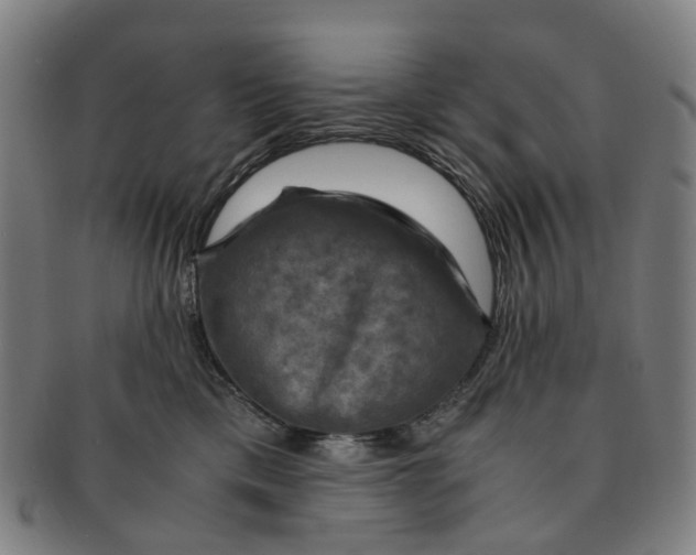 X0000091010425200708241517