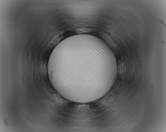 X0000091010426200708241517