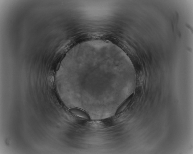 X0000091010427200708241517