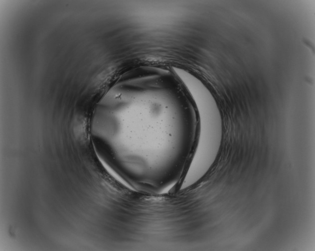 X0000091010428200708241517