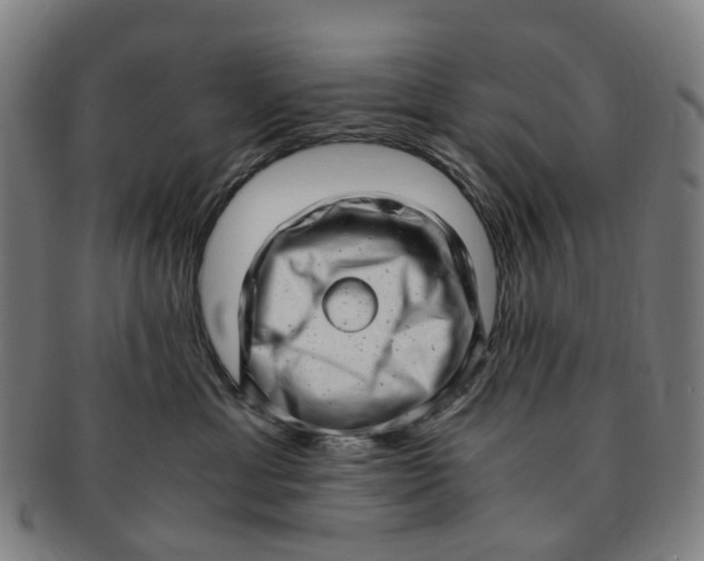 X0000091010429200708241517