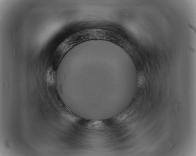 X0000091010431200708241517