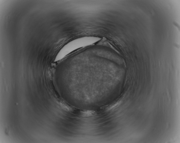 X0000091010432200708241516