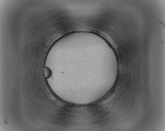 X0000091010433200708241516