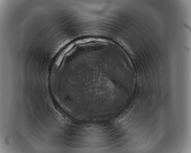 X0000091010434200708241516