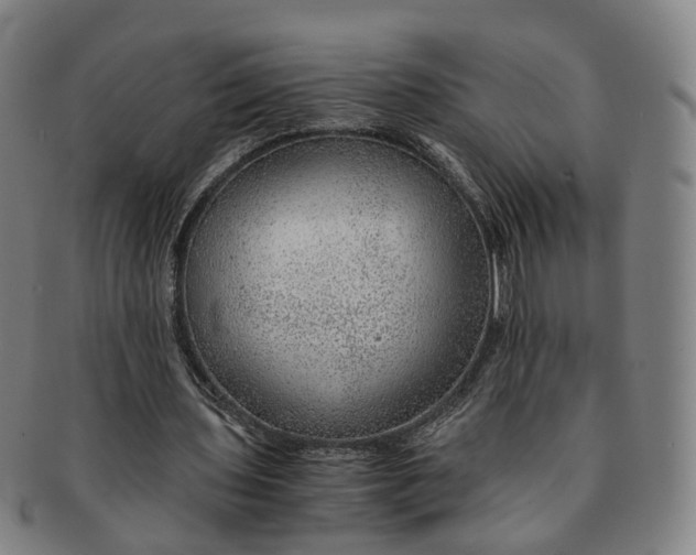 X0000091010435200708241516