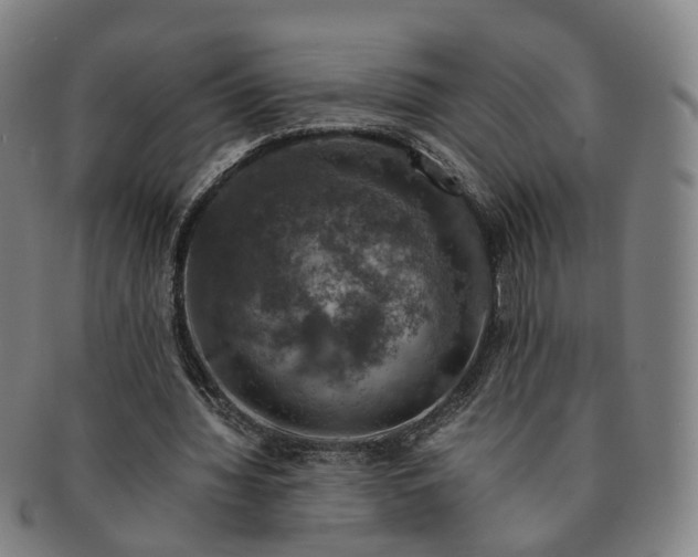 X0000091010436200708241516