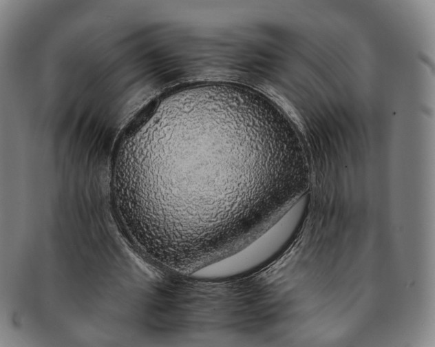 X0000091010437200708241516