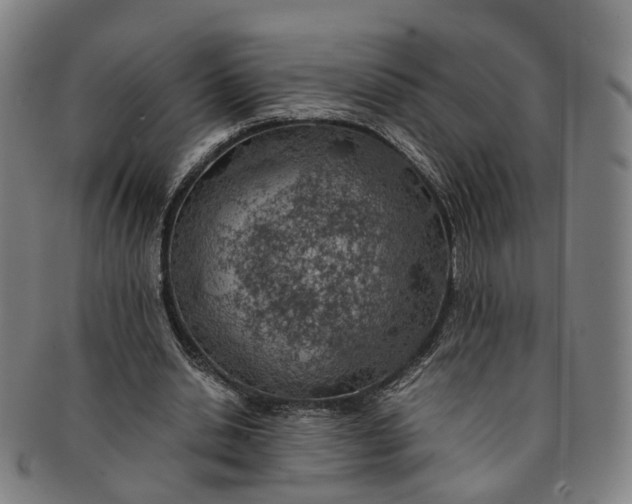 X0000091010438200708241516