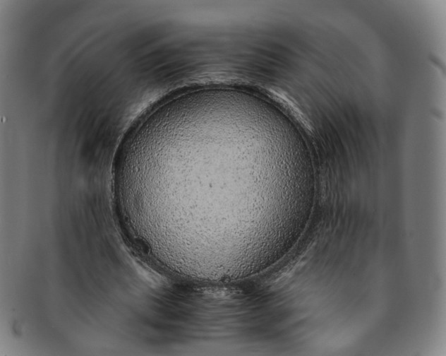 X0000091010439200708241516