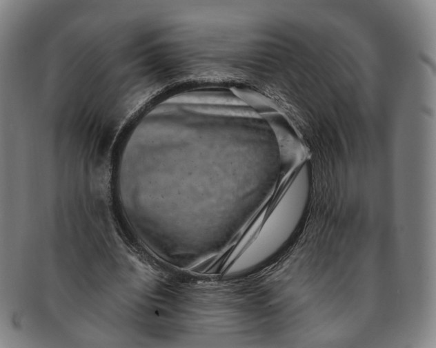 X0000091010440200708241516