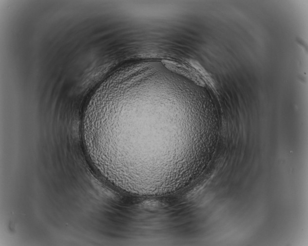 X0000091010441200708241516