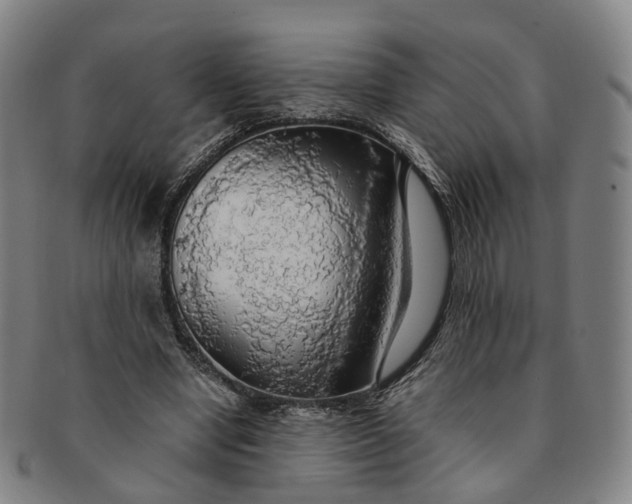 X0000091010442200708241516