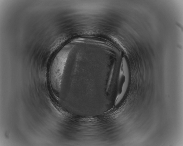 X0000091010443200708241516