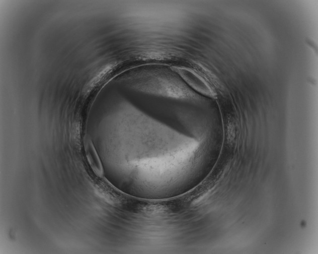 X0000091010444200708241516