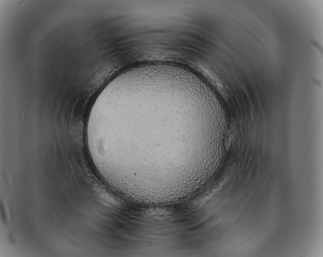 X0000091010445200708241516