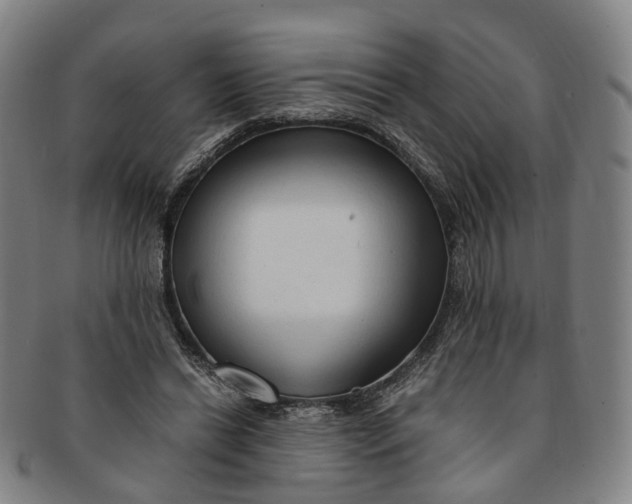 X0000091010446200708241516